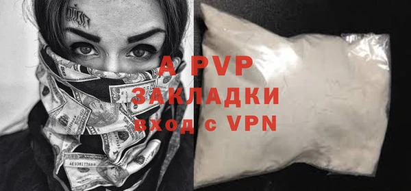 шишки Няндома