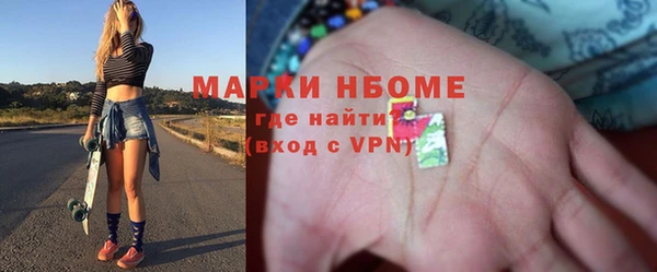шишки Няндома