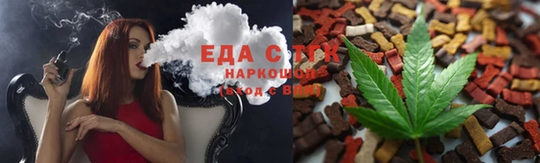 шишки Няндома