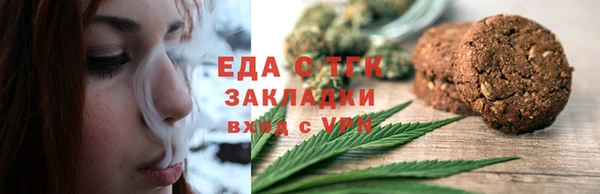 гидра Гатчина