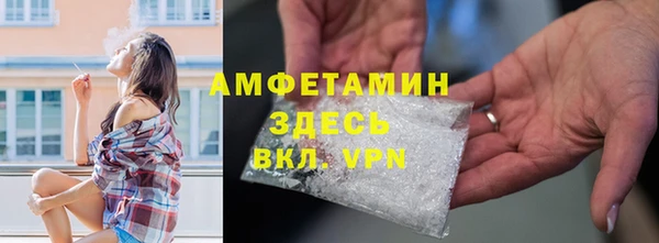 шишки Няндома