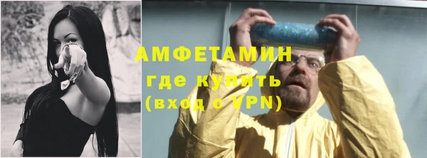 шишки Няндома