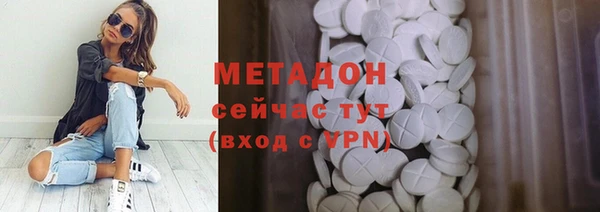 шишки Няндома