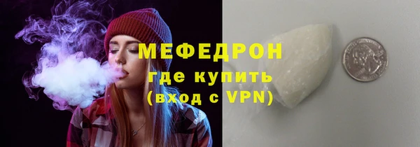 шишки Няндома