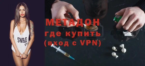 шишки Няндома