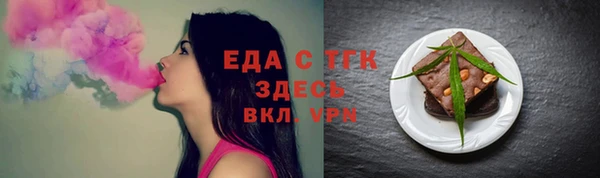 шишки Няндома