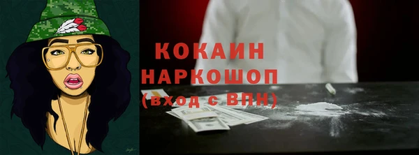 шишки Няндома