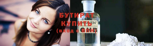 гидра Гатчина