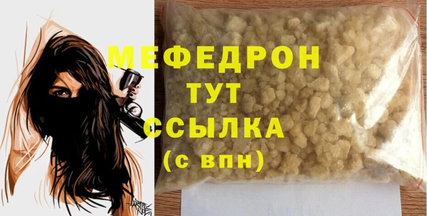 шишки Няндома