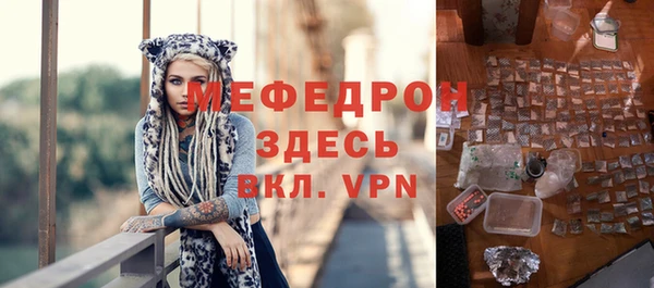 шишки Няндома