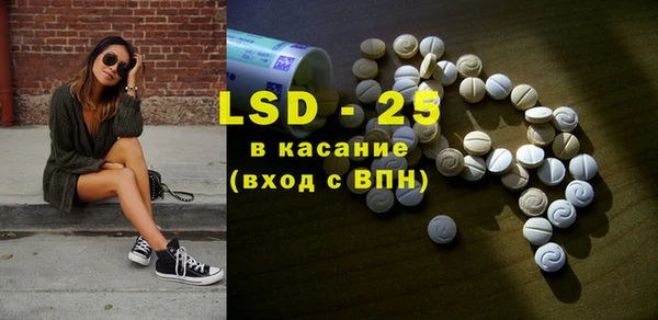 шишки Няндома