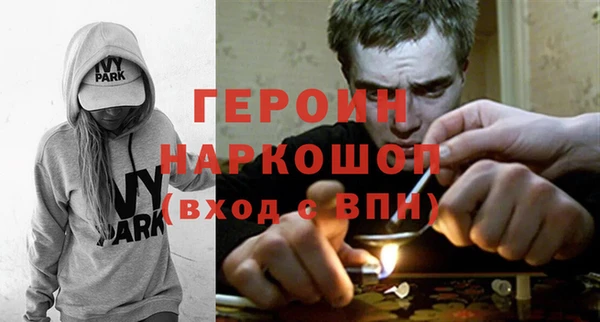 шишки Няндома