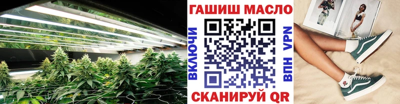 ТГК THC oil мега сайт Кашин цены