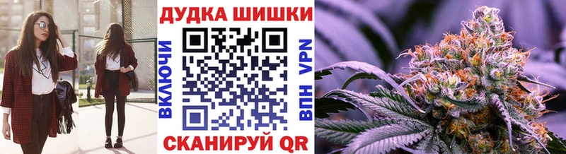 цена   Кашин  Бошки марихуана VHQ 